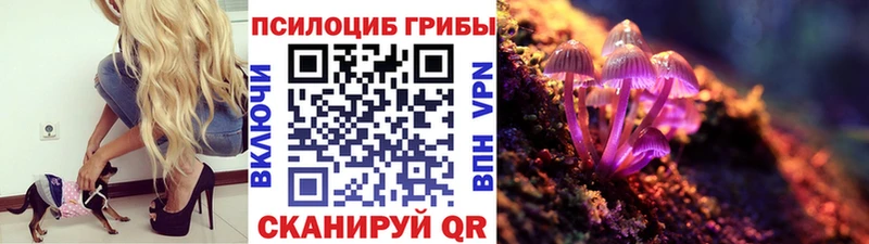 mega как зайти Нестеров Галлюциногенные грибы Magic Shrooms